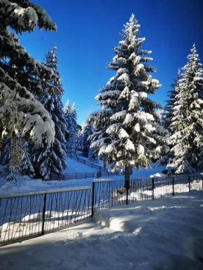 PineTree Jahorina